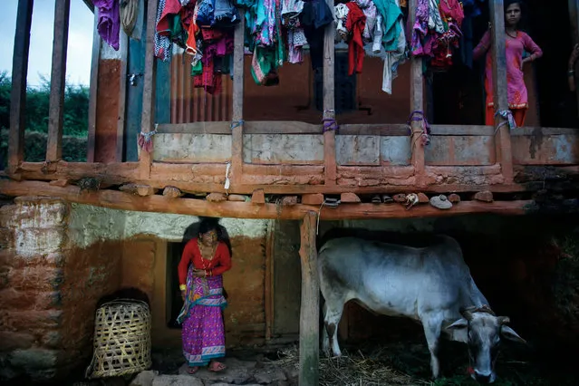 Laxmi Bhandari comes out of a “Chaupadi” room on an early morning Mangalsen village in Acham district, Nepal, 17 September 2017. Laxmi uses a small separate room in her own home during her monthly menstruation. “Living in a separate room in your own home is much safer than living in a Chaupadi shed which is set up separately outside one's home”, says a social mobilizer who campaigns to end the practice. “Chaupadi Pratha” is an ancient social tradition in Nepal that banishes girls and women from their home to makeshift sheds and huts during their menstruation period. The custom is practiced by religious Hindu communities in some districts of western Nepal, especially in the far western Accham district, which is located 424 kilometers from the capital of Kathmandu. Girls and women are forced to stay in small huts or sheds built away from their homes, or even caves, for seven to nine days during their monthly period in following with the centuries-old ritual. They are also prohibited to participate in normal daily activities as they are considered “impure”. (Photo by Narendra Shrestha/EPA/EFE)