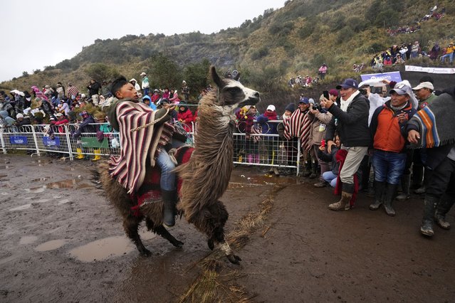 Competitor Cristofer Chacha crosses the finish line in the annual llama races that commemorate, “World Wetlands Day”, in Ecuador's Llanganates National Park, Saturday, February 1, 2025. (Photo by Dolores Ochoa/AP Photo)