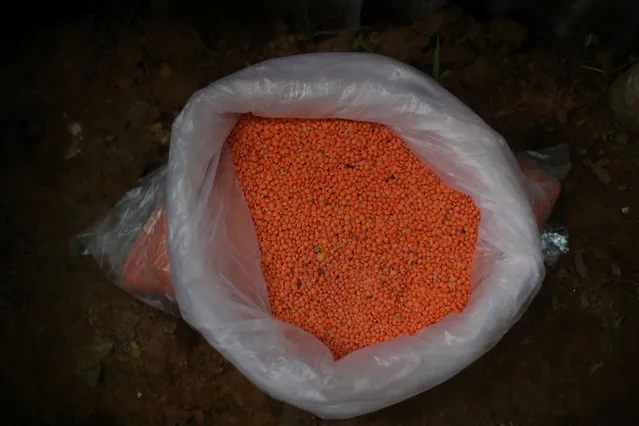 Red lentils are displayed for sale in a shop in Palong Khali refugee camp near Cox's Bazar, Bangladesh, October 30, 2017. Kalim Ullah, 42, fled from the Buthidaung area with his wife, six sons and a daughter. He used to transport goods in Myanmar, but was told that Rohingya could not own a business in Bangladesh. Ullah joined up with a local business owner and now sells snacks and red chillies in the camp for a daily wage of 100 taka. Two Bangladesh government officials confirmed that the refugees are not legally allowed to own businesses in the country since they are not citizens. “We are giving all kind of humanitarian assistance. They are not our citizens”, said a senior home ministry official. “The Myanmar government will have to take them back”. (Photo by Hannah McKay/Reuters)