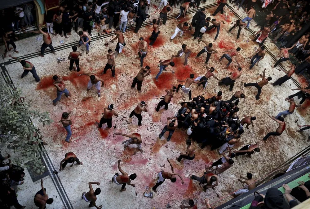 Pictures of Recent Events [End of November 2012]