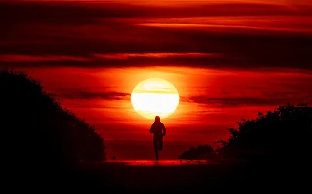 A woman runs on a small road betweenfileds and acres as the sun rises in Frankfurt, Germany, Sunday, June 21, 2020. (Photo by Michael Probst/AP Photo)