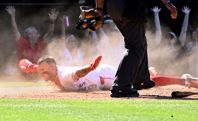 Los Angeles Angels' Zach Neto (9) beats the tag of San Francisco Giants catcher Sam Huff (23) to score the winning run during the ninth inning of a baseball game Sunday, April 20, 2025, in Anaheim, Calif. (Photo by Wally Skalij/AP Photo)