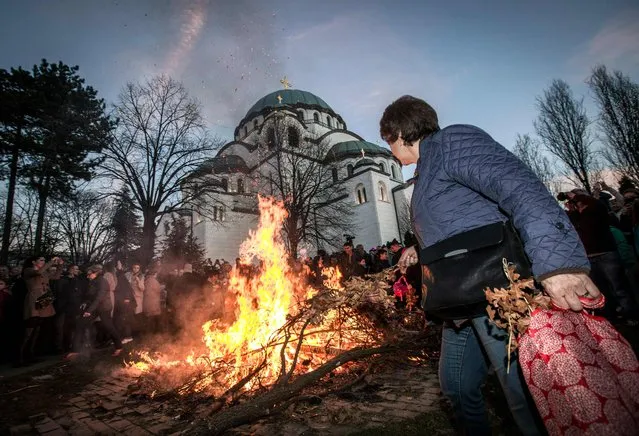 A woman throws oak tree leaves and branches into a bonfire outside the Saint Sava church during the ceremonial burning of dried oak branches, symbolising the Yule log during Orthodox Christmas eve celebrations in Belgrade, on January 6, 2018. The branches are also carried into the homes and burned on Orthodox Christmas Day, which is celebrated according to the Julian calendar, on January 7. (Photo by Oliver Bunic/AFP Photo)