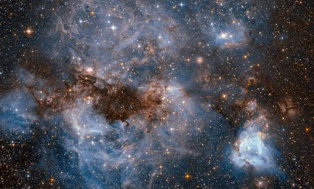 This shot from the NASA/ESA Hubble Space Telescope captured on September 5, 2016 shows a maelstrom of glowing gas and dark dust within one of the Milky Way's satellite galaxies, the Large Magellanic Cloud (LMC). This stormy scene shows a stellar nursery known as N159, an HII region over 150 light-years across. N159 contains many hot young stars. These stars are emitting intense ultraviolet light, which causes nearby hydrogen gas to glow, and torrential stellar winds, which are carving out ridges, arcs, and filaments from the surrounding material. At the heart of this cosmic cloud lies the Papillon Nebula, a butterfly-shaped region of nebulosity. This small, dense object is classified as a High-Excitation Blob, and is thought to be tightly linked to the early stages of massive star formation. N159 is located over 160,000 light-years away. (Photo by ESA/Hubble & NASA)