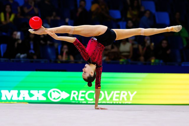 Darja Varfolomeev of Germany competes with the ball during the Qualification of the Rhytmic Gymnastics World Championships at Carioca Arena on August 20, 2025 in Rio de Janeiro, Brazil. (Photo by Tom Weller/Getty Images)