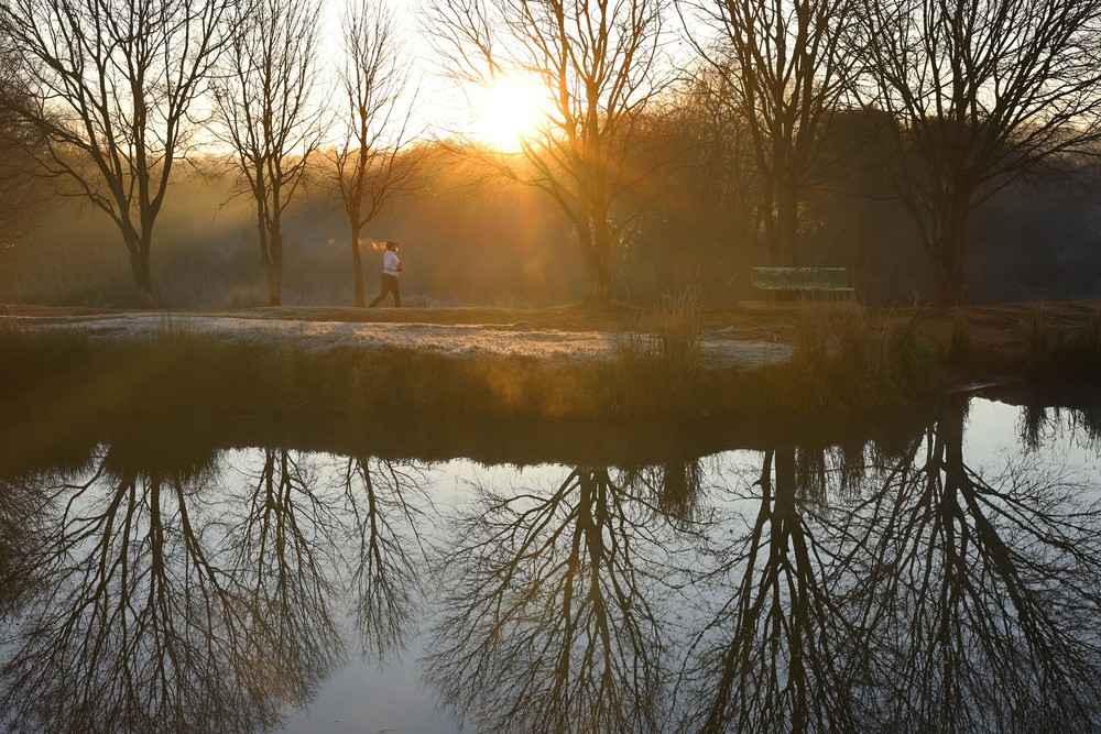 Some Photos: Reflection