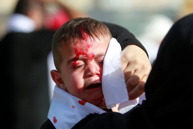 A Shi'ite Muslim child reacts as he bleeds after he was cut on the forehead with a razor during a religious procession to mark Ashura in Nabatiyeh town, southern LebanonOctober 12, 2016. (Photo by Ali Hashisho/Reuters)