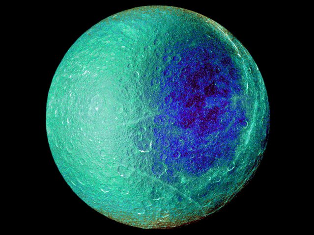 Hemispheric color differences on Saturn's moon Rhea are apparent in this false-color view from NASA's Cassini spacecraft in this March 2, 2010 file photo. (Photo by Reuters/NASA/JPL/SSI)