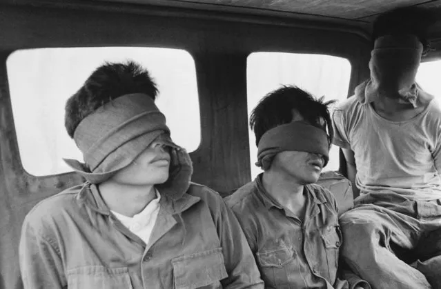 Blindfolded prisoners are taken away by South Vietnamese troops during the Vietnam War, 12th April 1972. (Photo by Ian Brodie/Daily Express/Hulton Archive/Getty Images)