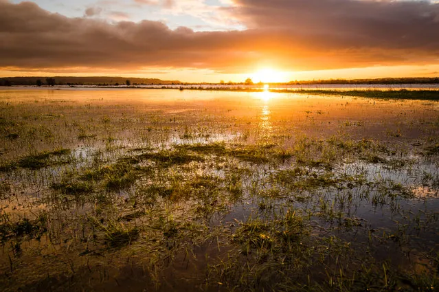 Sunrise on a winter morning over the flooded Somerset Levels in Somerset, UK on January 15, 2016. (Photo by Ben Birchall/PA Wire)