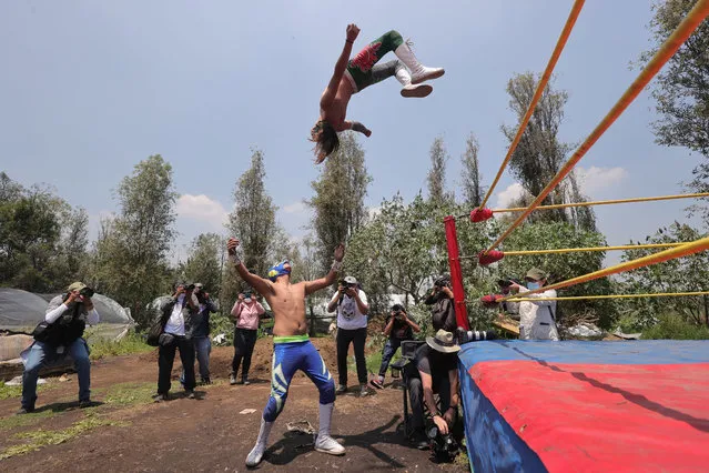 Mexican Lucha Libre wrestler Gran Felipe Jr performs against Sol during a morning fight show of the Mexican Lucha Libre on August 22, 2020 in Mexico City, Mexico. Mexican wrestling industry faces a crisis due the closure of gyms and wrestling venues during the extended coronavirus lockdown of Arenas. As a way to revive their activities and industry, wrestlers have created the “Chinampaluchas”, a Lucha Libre show in a ring built on a chinampa (portion of land in the middle of a lake), broadcasted via social media and with a one-dollar fee for fans. (Photo by Hector Vivas/Getty Images)