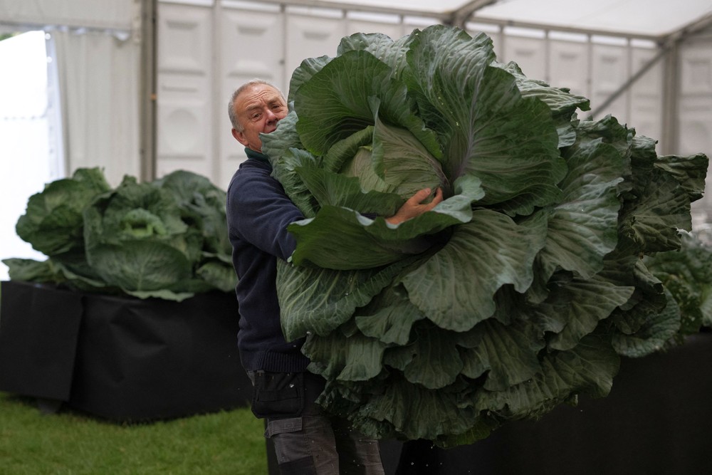 Pictures of the Year 2024, Part 176/240