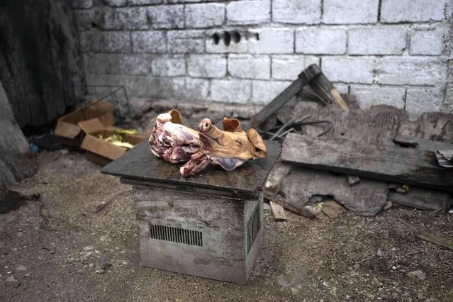 Pigs heads are displayed for sale, in Port-au-Prince, Haiti, Friday, June 2, 2023. (Photo by Ariana Cubillos/AP Photo)