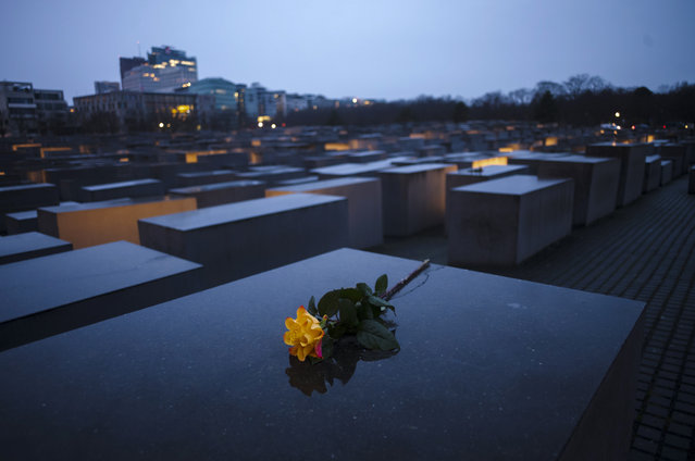 A flower lays on a concrete slab on the occasion of International Holocaust Remembrance Day, marking the liberation of the Nazi death camp Auschwitz - Birkenau, at the Holocaust Memorial in Berlin, Germany, Monday, January 27, 2025. (Photo by Markus Schreiber/AP Photo)