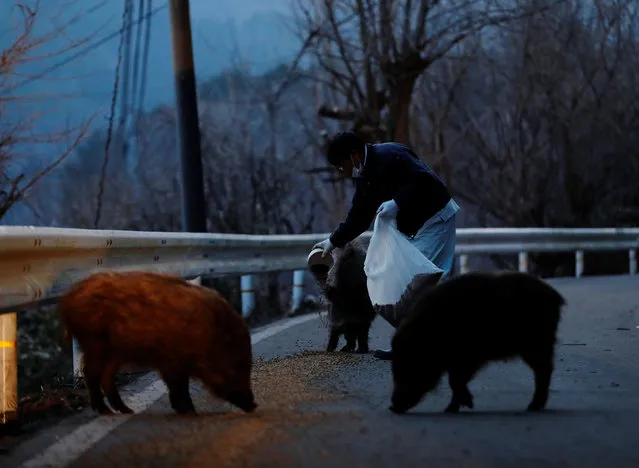 Sakae Kato feeds wild boars in front of his home, in a restricted zone in Namie, Fukushima Prefecture, Japan, February 20, 2021. A decade ago, Kato stayed behind to rescue cats abandoned by neighbours who fled the radiation clouds belching from the nearby Fukushima nuclear plant. He won't leave. “I don't want to leave, I like living in these mountains”, Kato said. (Photo by Kim Kyung-Hoon/Reuters)