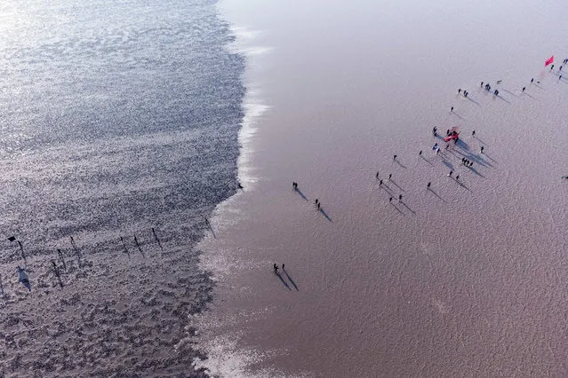 In this aerial view, Shiite Muslim pilgrims walk in the Gulf waters and a muddy shore, at the start of their march from Iraq's southern city of al-Faw toward Karbala, ahead of the Arbaeen religious festival on August 13, 2023. Each year, pilgrims converge in large numbers to the holy Iraqi cities of Najaf and Karbala ahead of Arbaeen, which marks the 40th day after Ashura, commemorating the seventh century killing of Prophet Mohammed's grandson Imam Hussein. (Photo by Hussein Faleh/AFP Photo)
