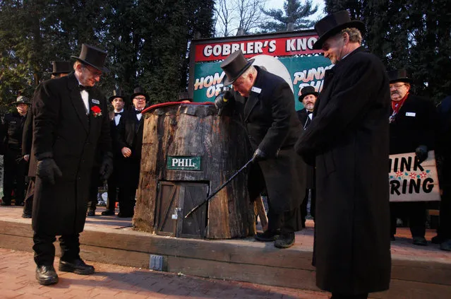 Groundhog Club president Bill Deeley (C) taps with a cane on Punxsutawney Phil's burrow to wake him as members of the Groundhog Club look on during the Groundhog Day celebration at Gobblers Knob in Punxsutawney, Pennsylvania, USA, 02 February 2016. Punxsutawney Phil the weather prognosticating groundhog emerged from his burrow and predicted an early spring. (Photo by David Maxwell/EPA)