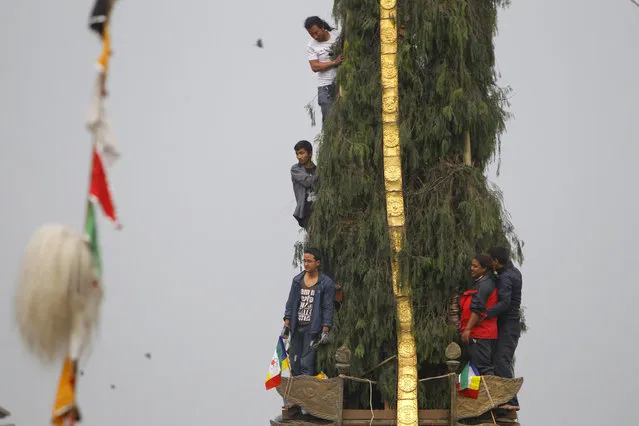 Hindu devotees hang on to the chariot to perform rituals during Seto Machindranath Chariot festival in Kathmandu, Nepal, Friday, March 27, 2015. Hindu and Buddhist worshippers participate in the week-long chariot festival, praying for rainfall and good harvest. (Photo by Niranjan Shrestha/AP Photo)