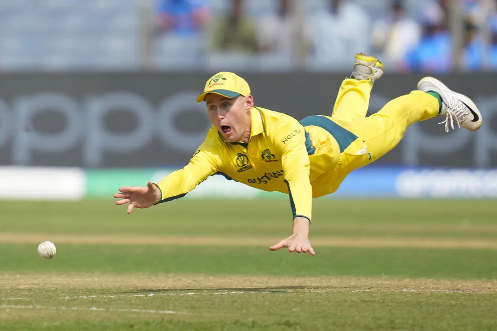 Some Photos: In Motion