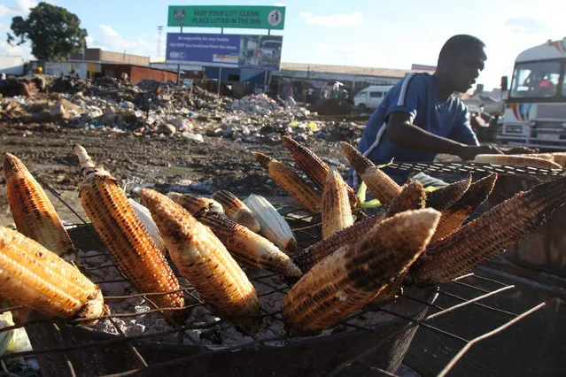 A Zimbabwean man roasts maize for sale at the side of the road in the capital Harare, March 3, 2016. (Photo by Philimon Bulawayo/Reuters)