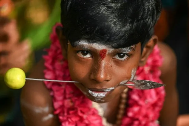 A Hindu devotee gets his cheeks pierced on the occasion of “Panguni Uthiram”, a Tamil Hindu festival in Chennai on March 24, 2024. (Photo by R.Satish Babu/AFP Photo)