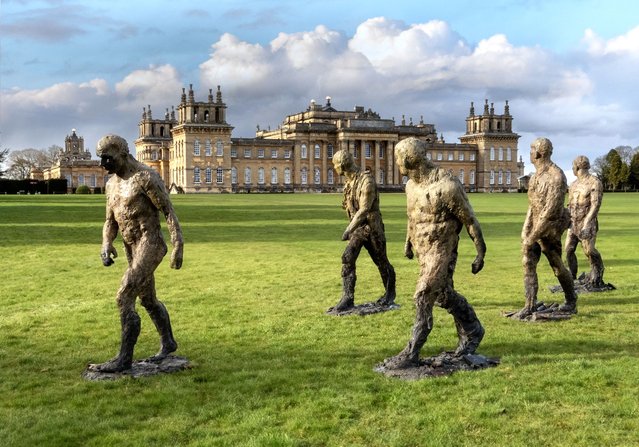 British sculptor Laurence Edwards' striking bronze figures, Walking Men, at Blenheim Palace in Oxfordshire, UK on April 9, 2024. The 8ft tall figures are seen to be anti-heroic and seem to have come from the earth itself. Branches, leaves and clods of clay are woven through them, making it unclear where human and ground begin and end. (Photo by Pete Seaward/South West News Service)