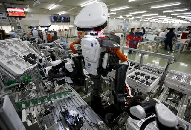 Humanoid robots work side by side with employees in the assembly line at a factory of Glory Ltd., a manufacturer of automatic change dispensers, in Kazo, north of Tokyo, Japan, July 1, 2015. (Photo by Issei Kato/Reuters)