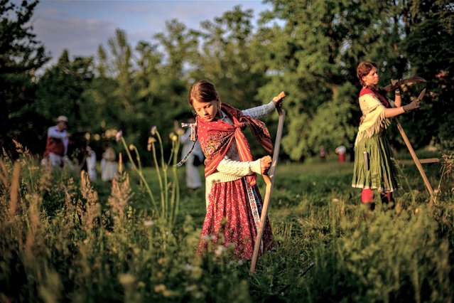 A girl in a tratidional working outfit, uses a scythe to cut meadow in the early morning in Stromovka park, in the city center in Prague, Czech Republic, 02 June 2023. About thirty locals gathered to scythe flower meadow in the biggest Prague's city park. (Photo by Martin Divisek/EPA/EFE/Rex Features/Shutterstock)