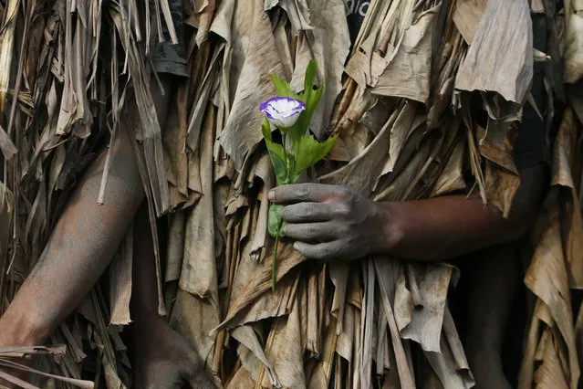 A villager, donning capes mostly of dried banana leaves and covered in mud, holds a flower as he joins a procession in a bizarre annual ritual to venerate their patron saint, John the Baptist, Friday, June 24, 2016 at Bibiclat, Aliaga township, Nueva Ecija province in northern Philippines. (Photo by Bullit Marquez/AP Photo)