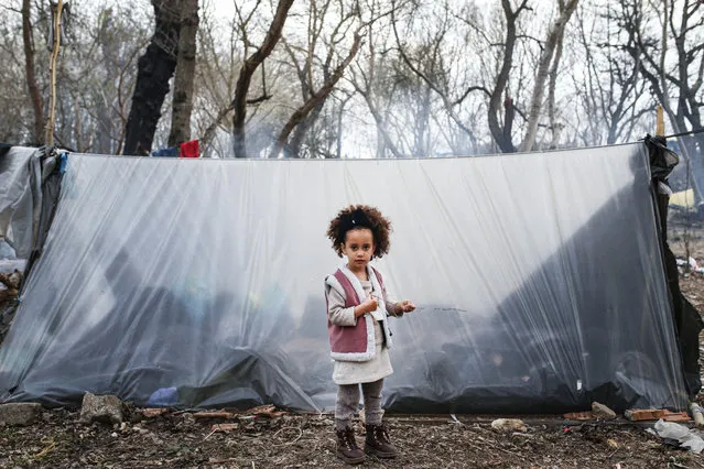 Asylum seekers, arrived in Edirne mostly from Istanbul and many other Turkish cities, are seen waiting at woodland near buffer zone located between Kastanies and Pazarkule border gates, hoping that Greece will open the border gate, on March 10, 2020 in Turkey's northwestern Edirne province. (Photo by Elif Ozturk/Anadolu Agency via Getty Images)