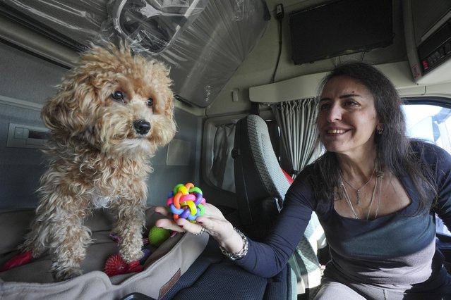 54-year-old Vildan Ozdemir, who left the banking profession she worked for 14 years and worked as an international truck driver transporting to European countries, is seen with her dog she named “Rocky” in Istanbul, Turkiye on December 17, 2024. Vildan Ozdemir is accompanied by her husband on this journey. (Photo by Agit Erdi Ulukaya /Anadolu via Getty Images)