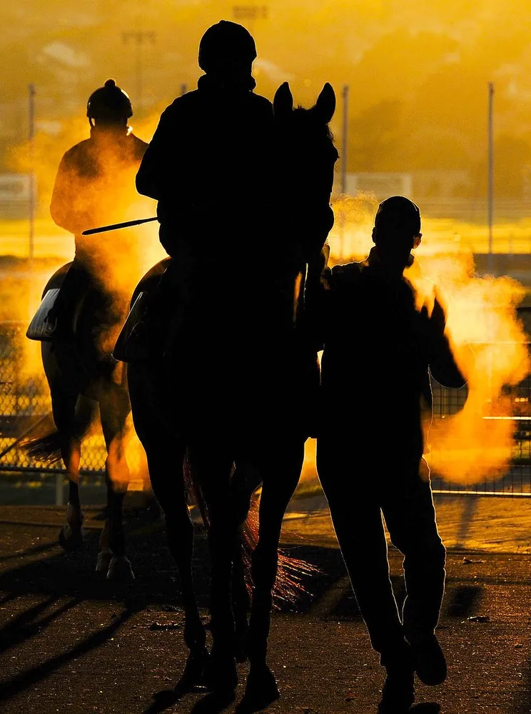 Simply Some Photos: Silhouettes