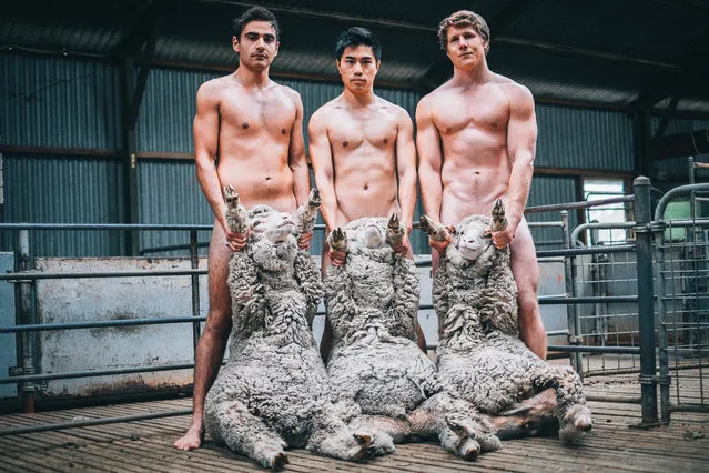 Veterinary students have bared all for a nude calendar, donning nothing but strategically placed animals – for charity, of course. Fourth year students from the University of Sydney’s veterinary science course in Camden, south-west of Sydney, stripped off their white coats to produce a tasteful “Under the Overalls” calendar. (Photo by House of Cameo)