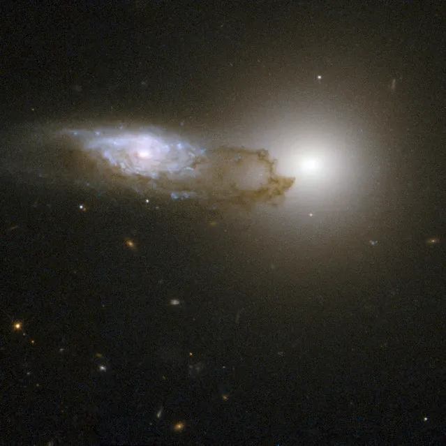 A view of AM 1316-241, made up of two interacting galaxies - a spiral galaxy in front of an elliptical galaxy. The starlight from the background galaxy is partially obscured by the bands and filaments of dust associated with the foreground spiral galaxy. (Photo by W. Keel/Reuters/NASA/ESA/Hubble Heritage Team/Hubble Collaboration/University of Alabama)