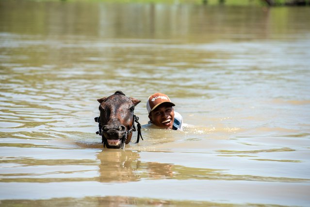 A man crosses a flooded street on a horse in San Simon, Guayas province, Ecuador, 12 April 2025. The winter season, which since the beginning of the year has left at least 20 people dead and more than 140,000 affected in Ecuador, has forced the National Electoral Council (CNE) to relocate 18 polling places in preparation for the presidential runoff elections scheduled for 13 April. (Photo by Mauricio Torres/EPA)