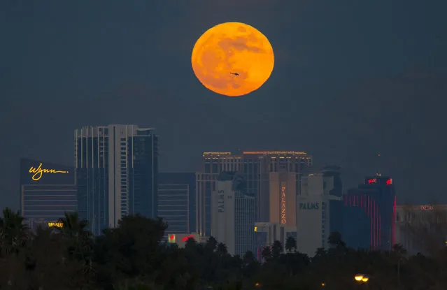 The first supermoon of the new year rises above the Vegas Strip on Monday, January 1, 2018. A supermoon occurs when the moon is full at the same time it reaches perigee, or that point in the moon's orbit when it is closest to Earth. (Photo by Richard Brian/Las Vegas Review-Journal via AP Photo)