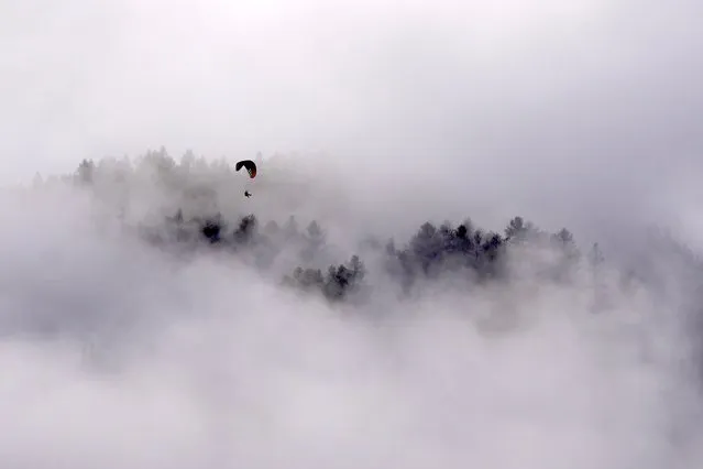 A paraglider soars through the air over trees near the Stubai glacier in Neustift im Stubaital, Tyrol, Austria, Sunday, November 6, 2022. (AP Photo/Matthias Schrader)