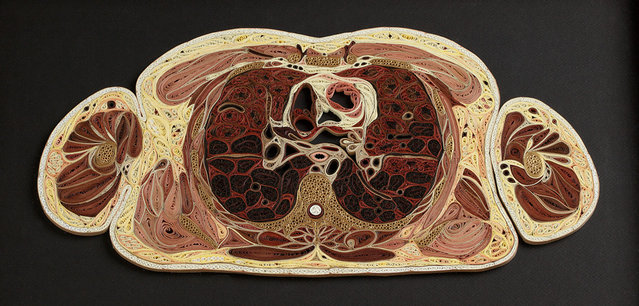  Paper Anatomy By Lisa Nilsson