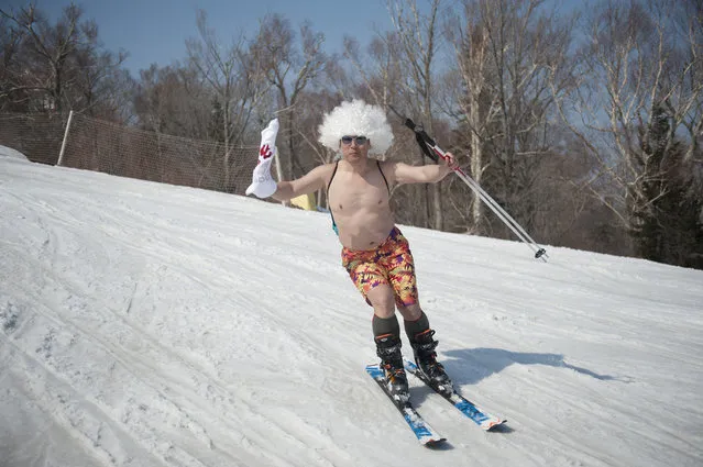 A man wearing a wig skis during the Naked Pig Skiing Carnival at the Yabuli Ski Resort on March 24, 2018 in Harbin of Heilongjiang Province, northeast China. (Photo by Tao Zhang/Getty Images)