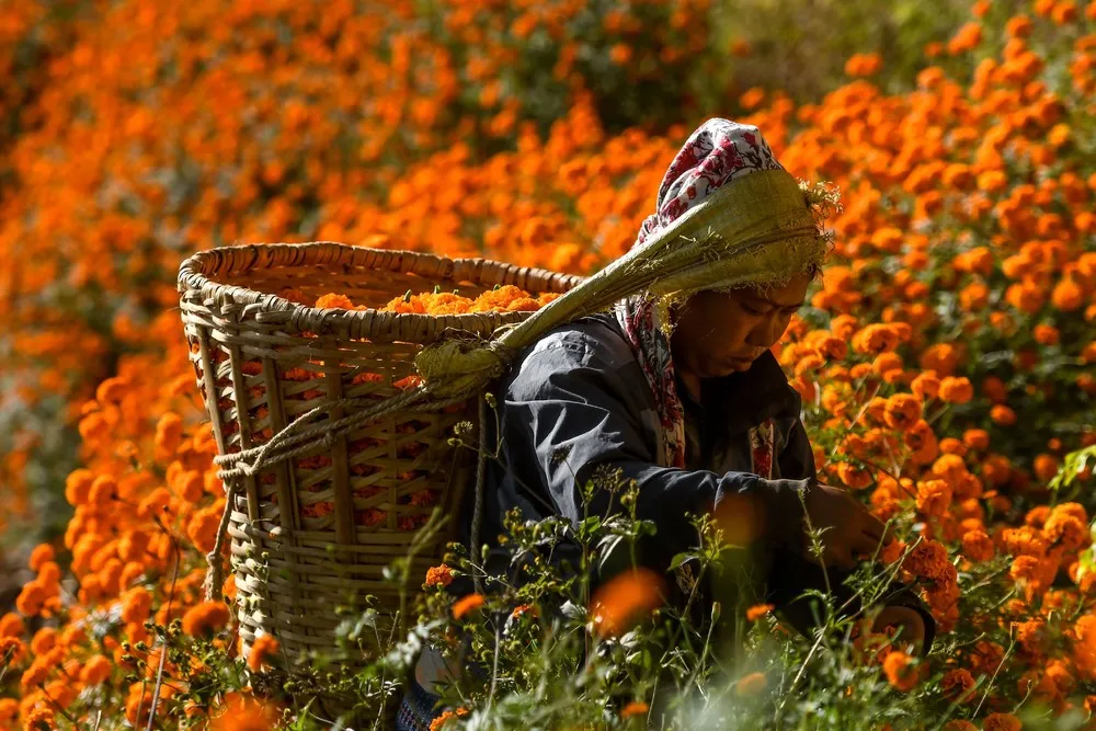 A Look at Life in Nepal