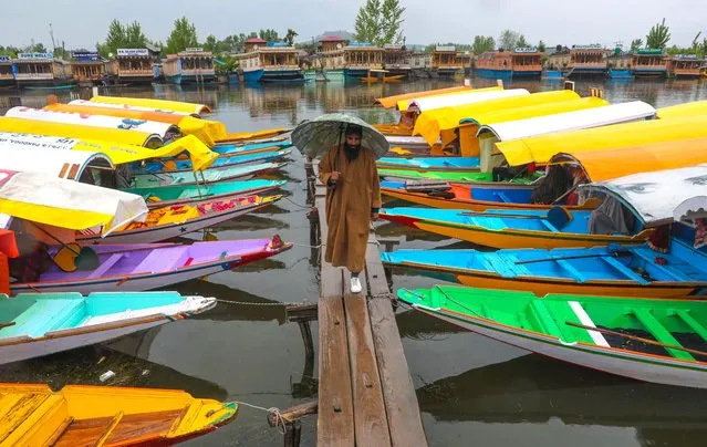 A Kashmiri holds a umbrella to protect himself from rain as he walk on temporary wooden bridge on the banks of Dal Lake in Srinagar, the summer capital of Indian Kashmir, 19 April 2023. Rain lashed plains and higher reaches experienced fresh snowfall in Kashmir. The Meteorological Department has forecasted significant improvement in prevailing weather conditions from Thursday 20 April onwards in the region. Due to rain, the water level has been increased in water bodies. (Photo by Farooq Khan/EPA)