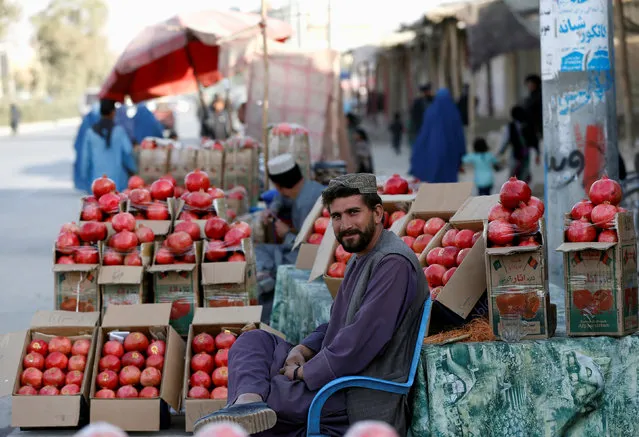 An Afghan man sells pomegranates along a street in Kabul, Afghanistan October 19, 2016. (Photo by Omar Sobhani/Reuters)