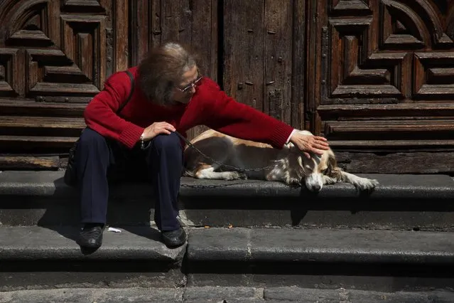 Cachi and her master wait for the start of a feast day Mass in honor of Saint Anthony, the patron saint of animals, at the Saint Fernando church, in Mexico City, Saturday, January 17, 2015. Many people in Mexico bring their pets to churches to be blessed by the priest on this day. (Photo by Marco Ugarte/AP Photo)