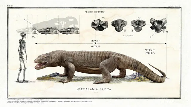 Fossil records indicate that this early lizard, Megalina prisca, was a whopping seven metres in length. (Photo by Sky TV/The Guardian)