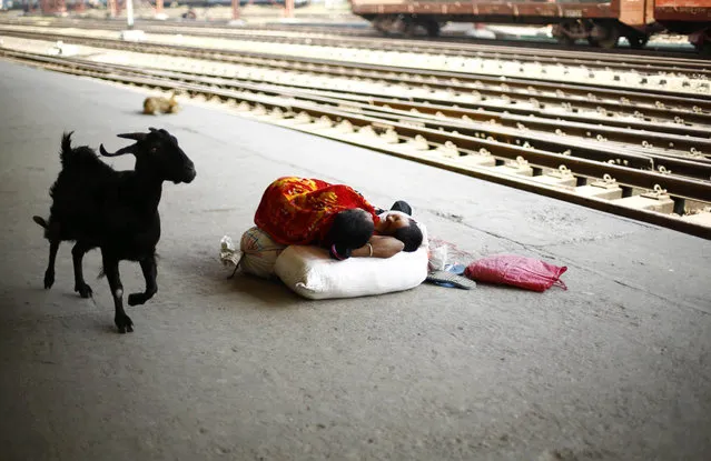 A woman sleeps with her child at the platform during the country wide strike called by the Bangladesh Nationalist Party (BNP) at the Kamlapur railway station in Dhaka, Bangladesh, 26 January 2015. Violence erupted in different parts of the country after former prime minister Khaleda Zia called a nationwide transport blockade on 05 January, the first anniversary of a controversial election that her Bangladesh Nationalist Party (BNP) and allies boycotted. (Photo by Abir Abdullah/EPA)