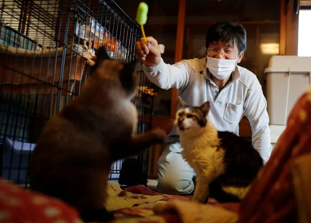 Sakae Kato plays with cats that he rescued, called Mokkun and Charm, who are both infected with feline leukemia virus, at his home, in a restricted zone in Namie, Fukushima Prefecture, Japan, February 20, 2021. (Photo by Kim Kyung-Hoon/Reuters)