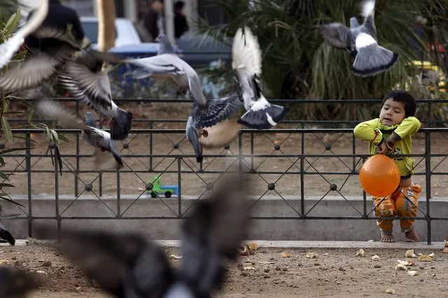 A migrant child watches pigeons in Victoria Square, where lots of migrants sleep rough, in central Athens, Greece, December 25, 2015. (Photo by Michalis Karagiannis/Reuters)