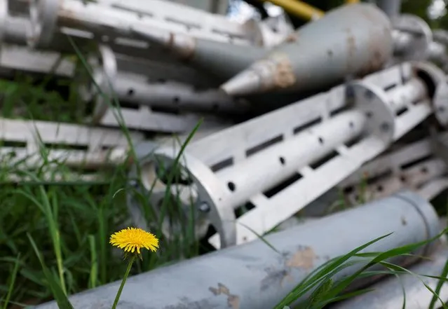 A dandelion is pictured next to ammunition casings collected at the Mlybor flour mill facility after it was shelled repeatedly, amid Russia's invasion of Ukraine, in Chernihiv region, Ukraine, May 24, 2022. (Photo by Edgar Su/Reuters)