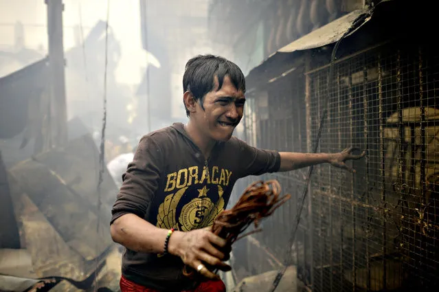 A resident walks amongst debris of destroyed houses after a fire razed a residential area in Manila on January 22, 2016. Almost 300 houses were destroyed on January 22, affecting more than 400 families according to the Bureau of Fire Protection (BFP). (Photo by Noel Celis/AFP Photo)