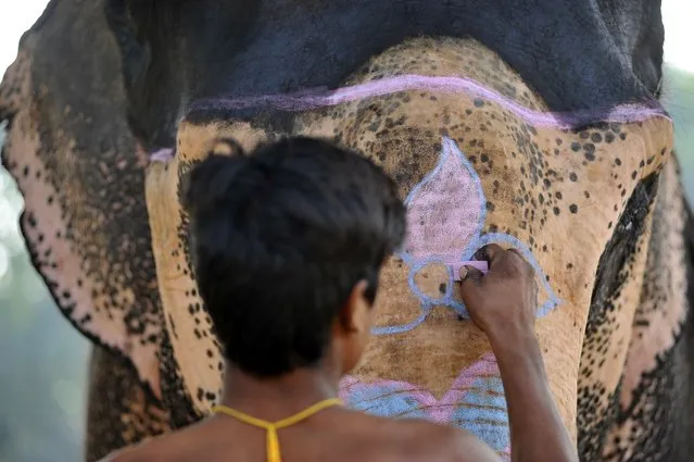 Arjun Chepang, 20yrs old, A mahout coloring using chalk on his 48yrs old elephant “Lucky Kali” before participating on the 13th Elephant Festival at Sauhara, Chitwan, Nepal on Tuesday, December 27, 2016. (Photo by Narayan Maharjan/NurPhoto via Getty Images)